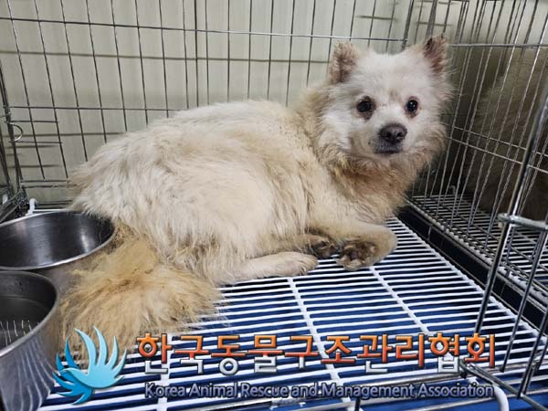 한국동물구조관리협회_411305202400036