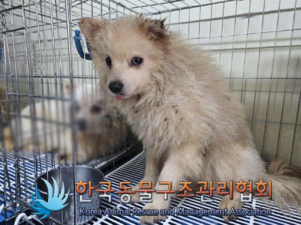 한국동물구조관리협회_411305202400037