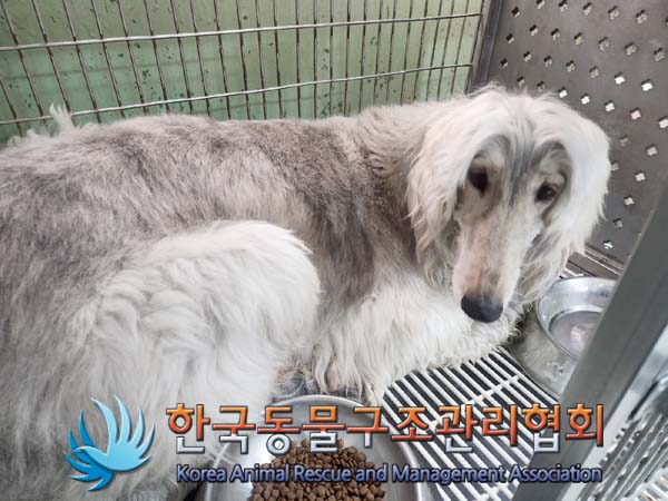 한국동물구조관리협회_441560202400175