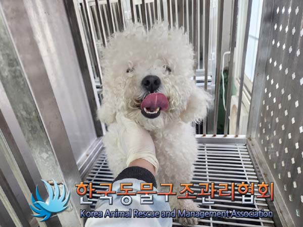 한국동물구조관리협회_411309202400019