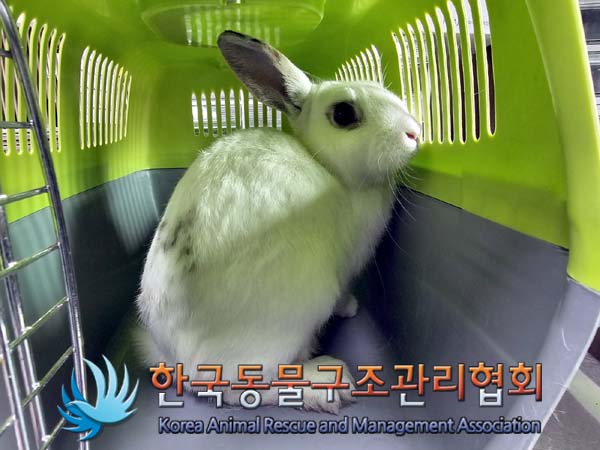 한국동물구조관리협회_411316202400069