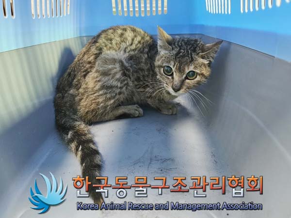 한국동물구조관리협회_411323202400134