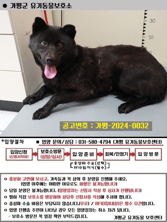 가평군유기동물보호소_441416202400032