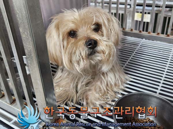 한국동물구조관리협회_411306202400122