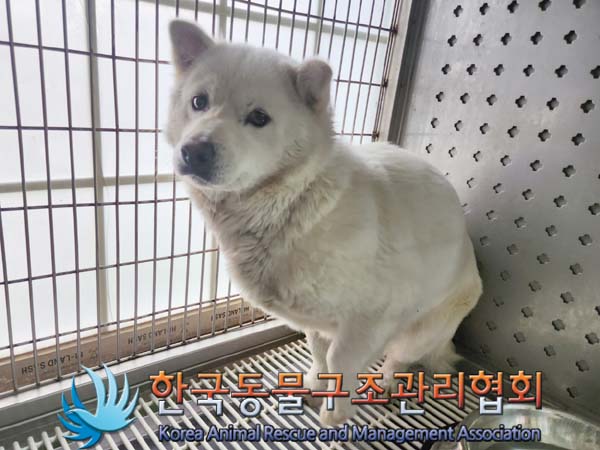 한국동물구조관리협회_441559202400128