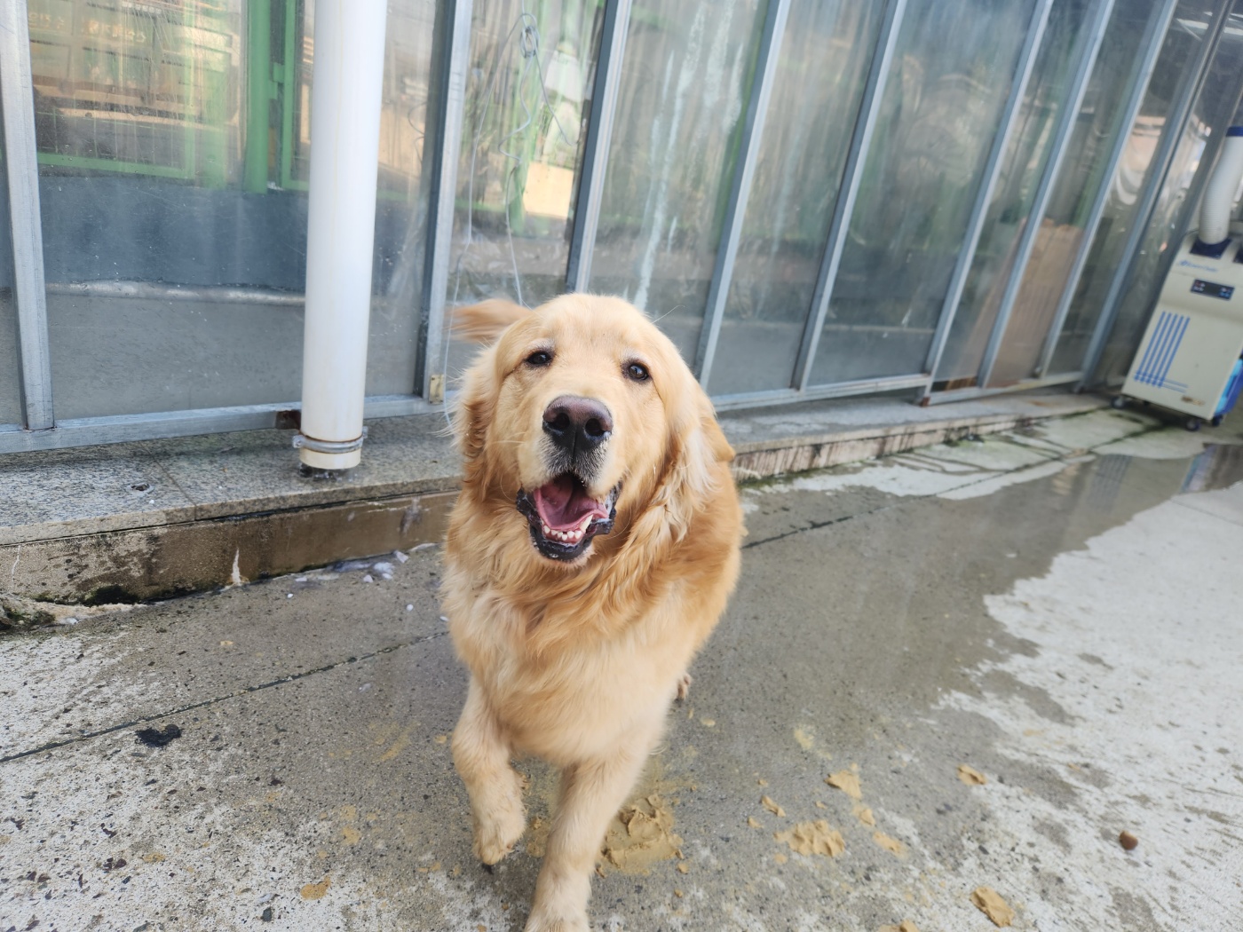 광주 동물보호소_429362202400092