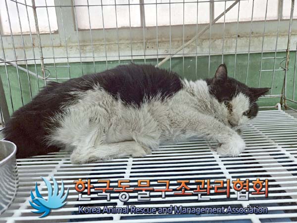 종료(자연사) 한국…