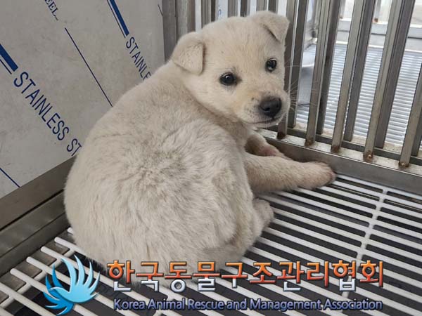 한국동물구조관리협회_441414202400096