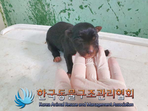 한국동물구조관리협회_441409202400295