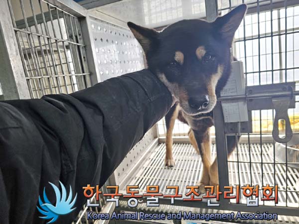 종료(반환) 시바의…