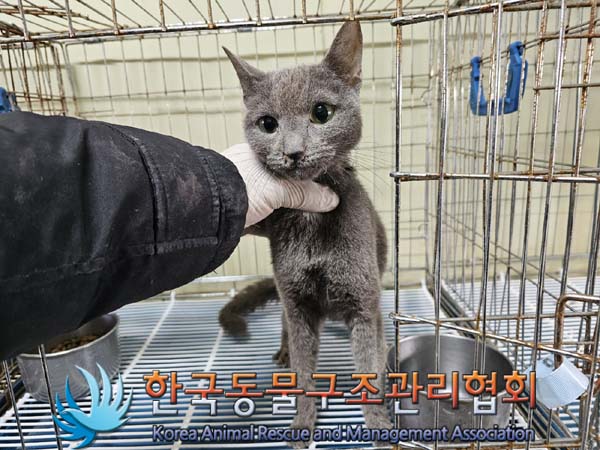 종료(자연사) 러시…