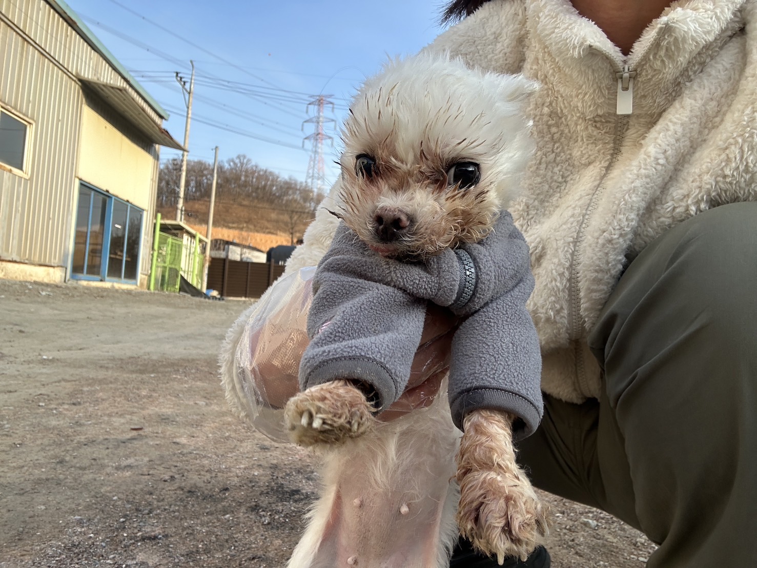 한국야생동물보호협회_441393202400324