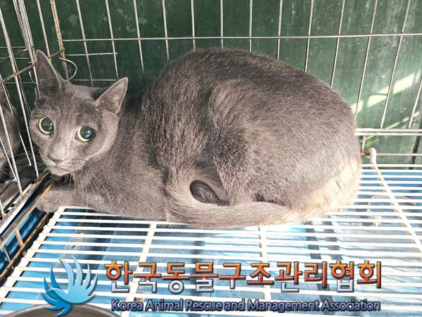한국동물구조관리협회_411312202400146