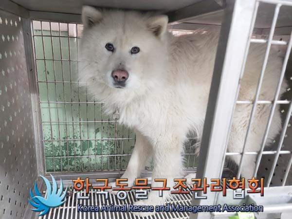 한국동물구조관리협회_441398202400038
