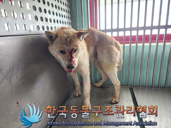 한국동물구조관리협회_441560202400206