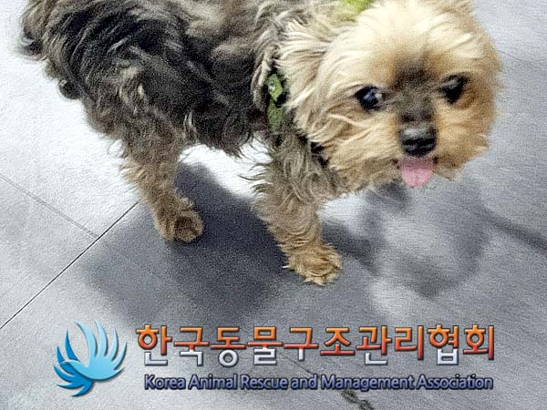 한국동물구조관리협회_411309202400020