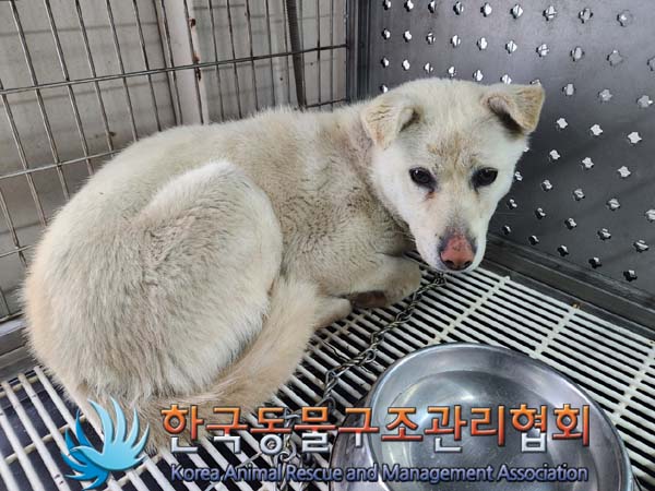 한국동물구조관리협회_441559202400135
