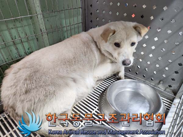 한국동물구조관리협회_441559202400136