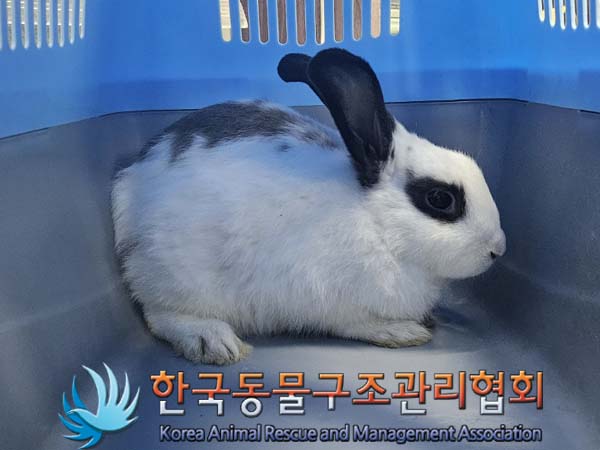 한국동물구조관리협회_411305202400065