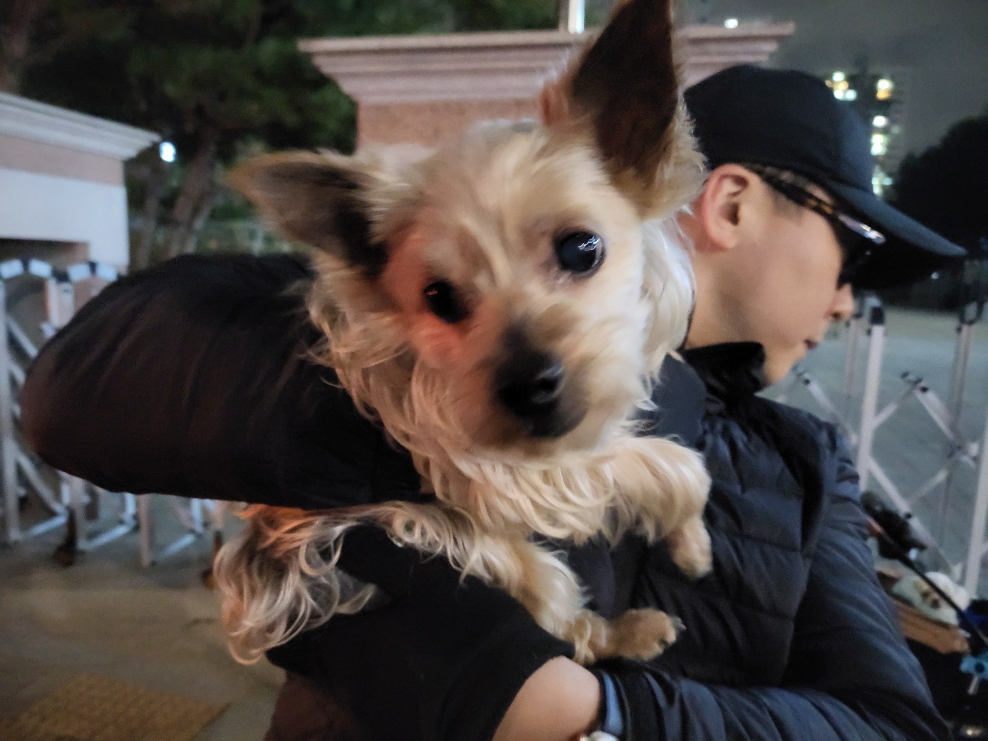 고양시동물보호센터_441394202400289