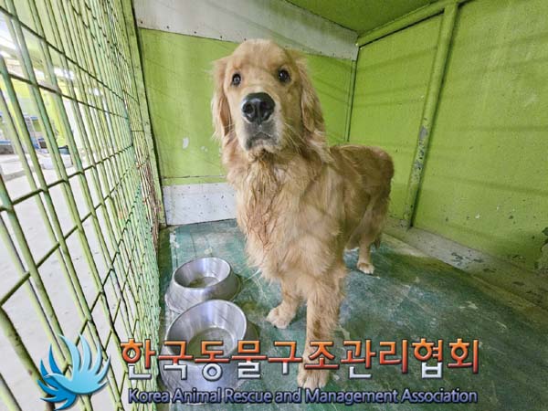 한국동물구조관리협회_411323202400162