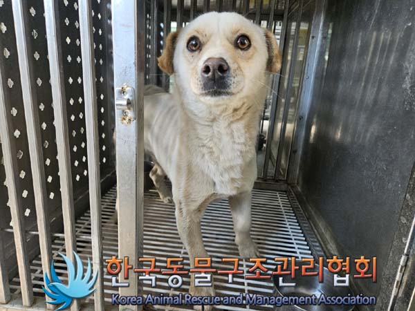 한국동물구조관리협회_441414202400102