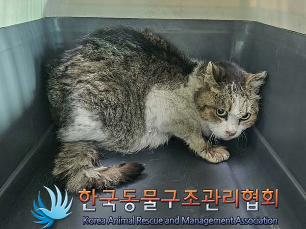 한국동물구조관리협회_411303202400058