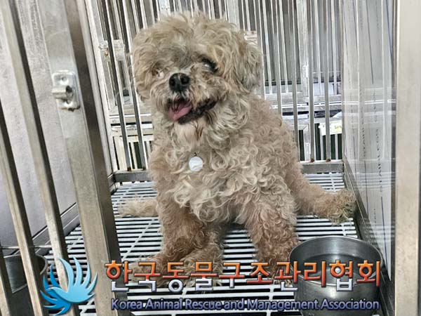 한국동물구조관리협회_411315202400058