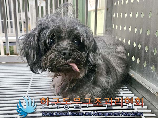 한국동물구조관리협회_411315202400060