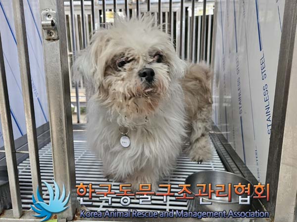 한국동물구조관리협회_411315202400061