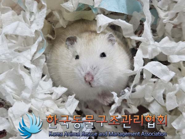 한국동물구조관리협회_441560202400212