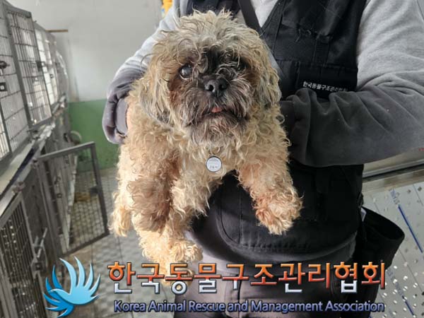 한국동물구조관리협회_411315202400065