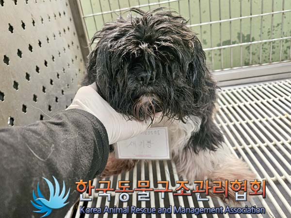 한국동물구조관리협회_411315202400066