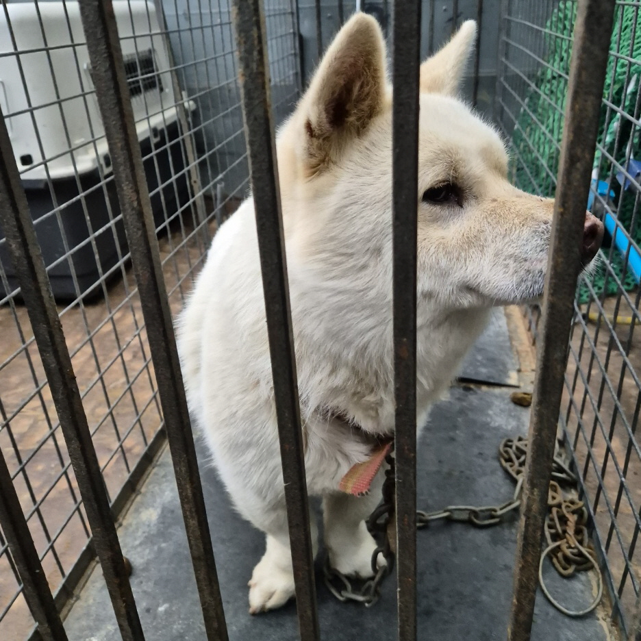 더가까운동물병원_443442202400031
