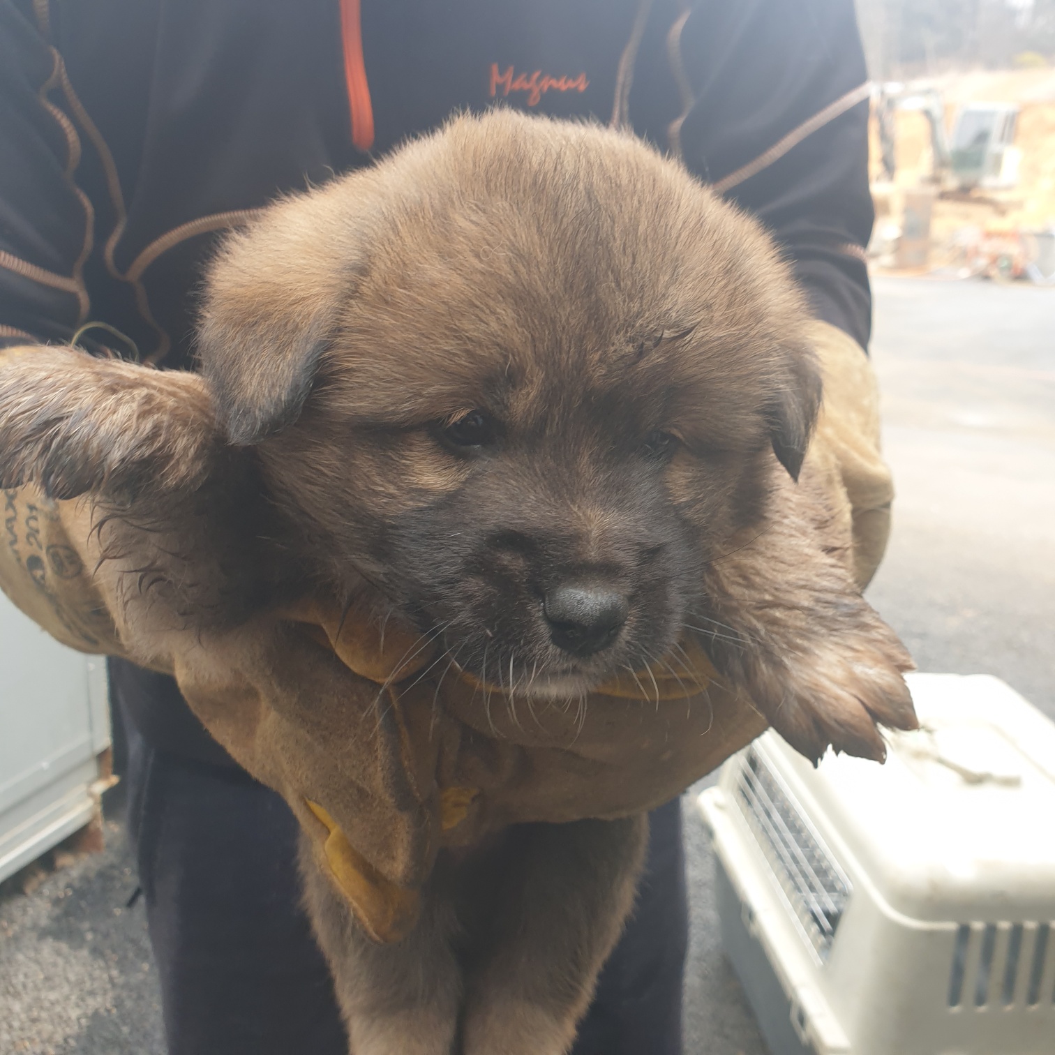 남양동물보호센터_441553202400545