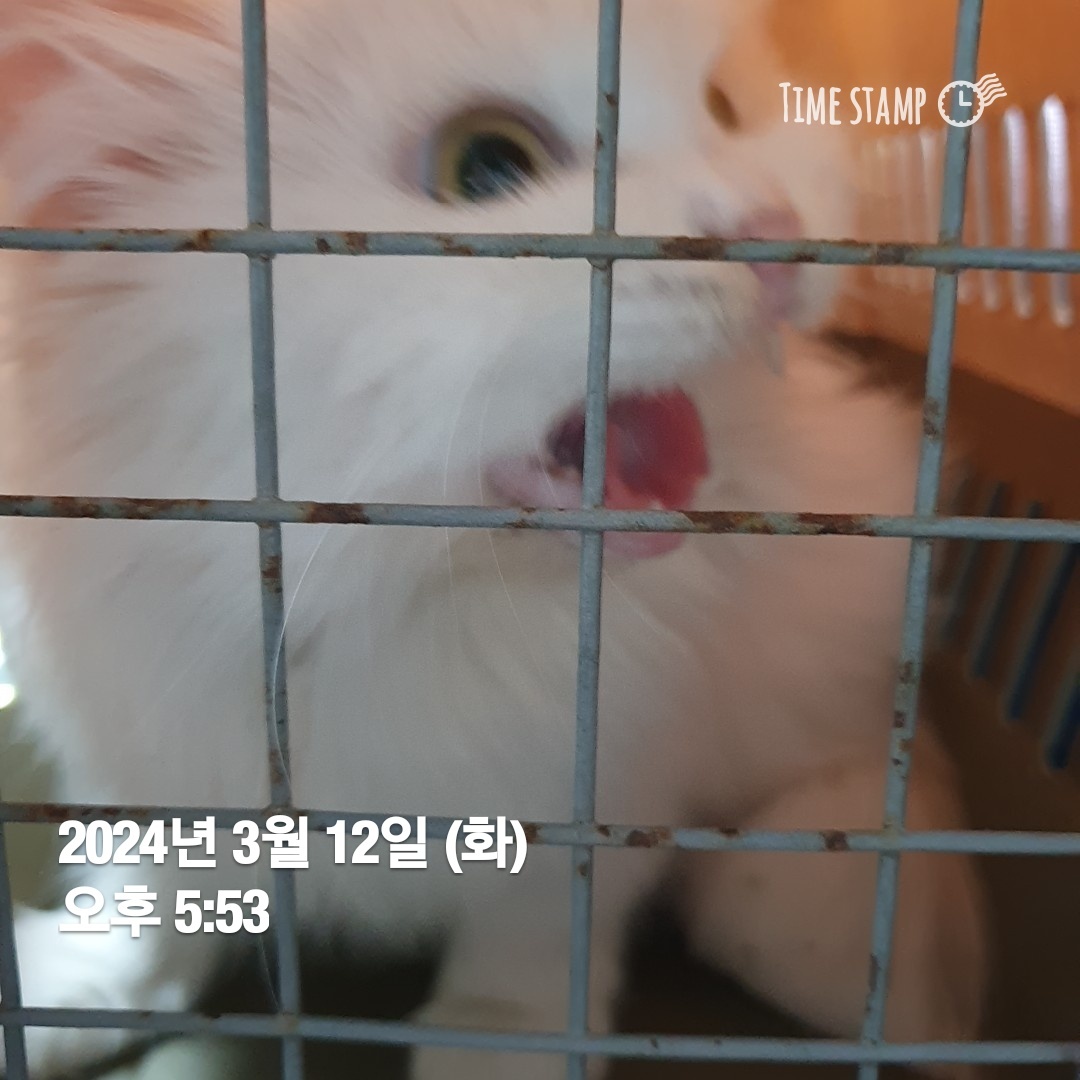 울산유기동물보호센터_431373202400164