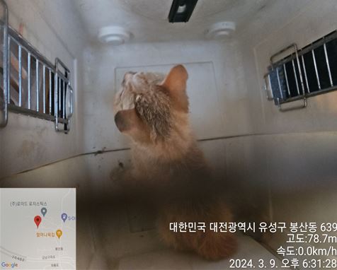 대전동물보호센터_430367202400121