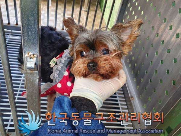 한국동물구조관리협회_411307202400059
