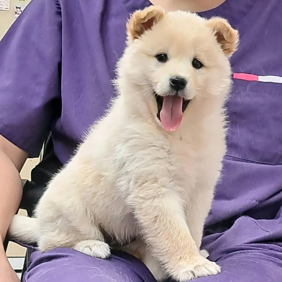 수원시 동물보호센터_441374202400067