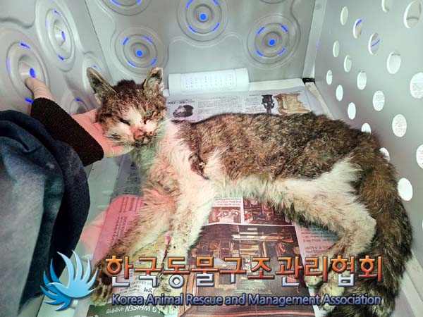 한국동물구조관리협회_411323202400221