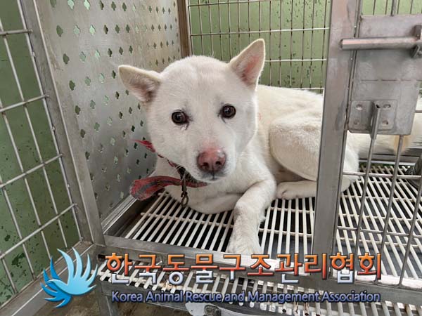 한국동물구조관리협회_411305202400075