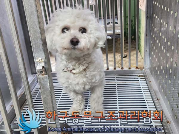 한국동물구조관리협회_411304202400044