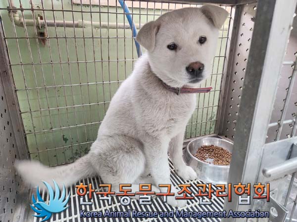 한국동물구조관리협회_411312202400148