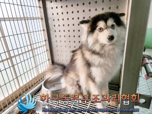 한국동물구조관리협회_411306202400136