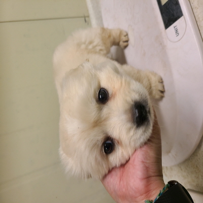 사단법인 동부_426340202400047