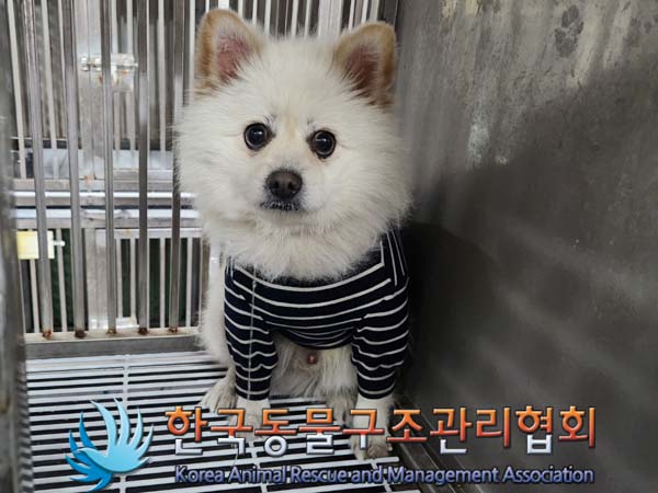 한국동물구조관리협회_411315202400096