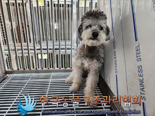 한국동물구조관리협회_411311202400119