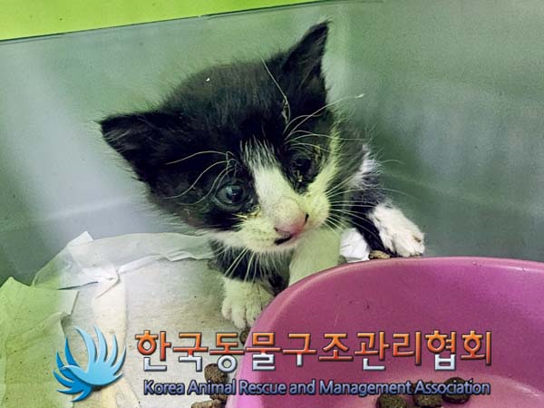 종료(자연사) 한국…