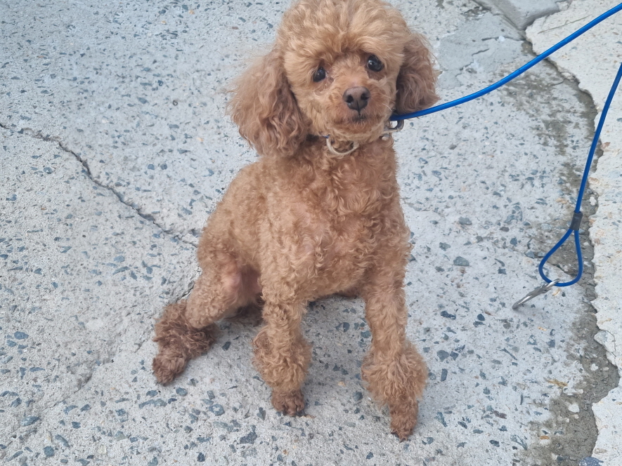 양산시 동물보호센터_448538202400111
