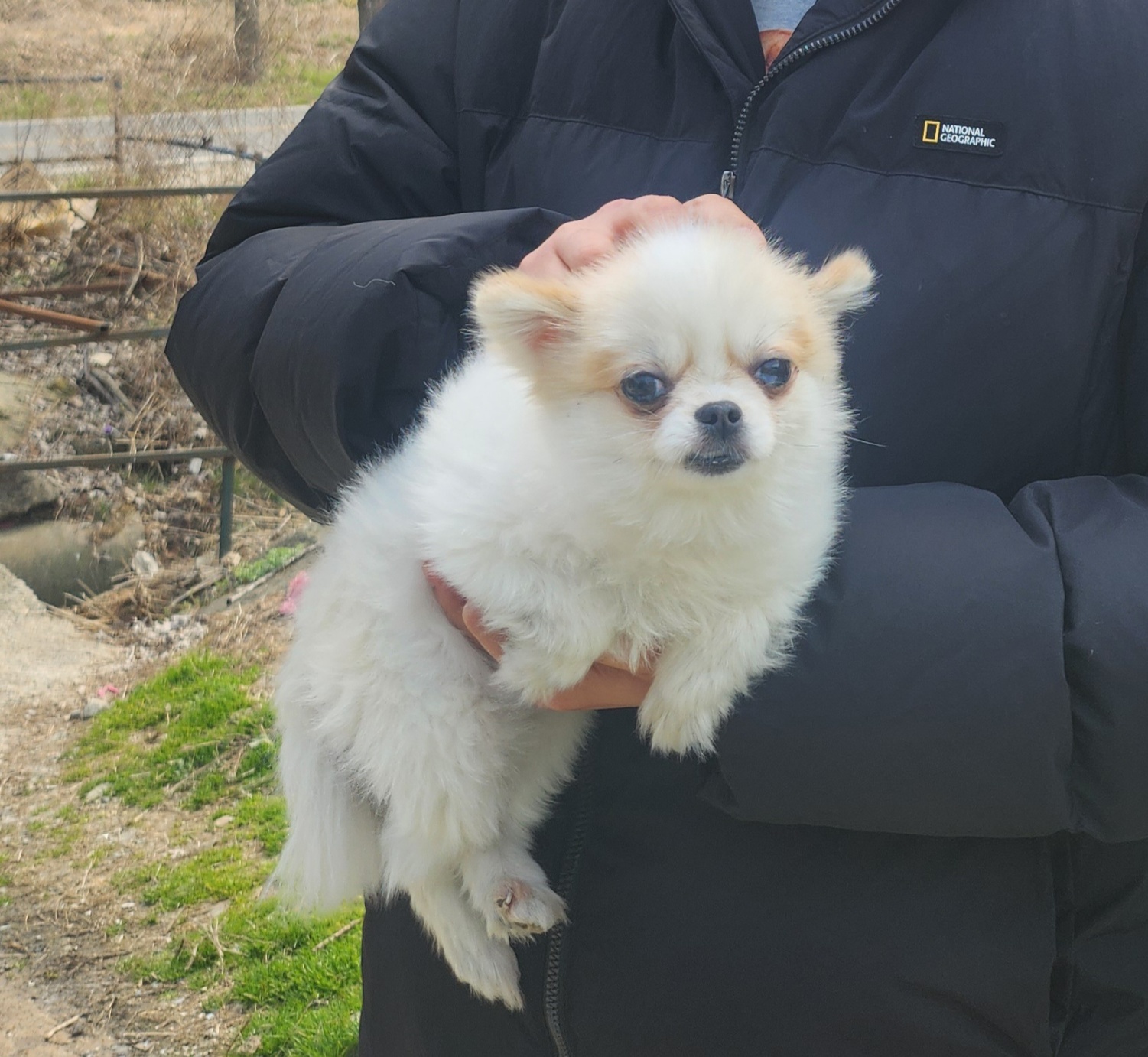 울산유기동물보호센터_431369202400073
